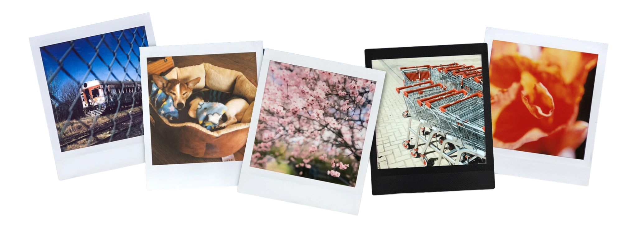 Top ten Film Camera you might want to check out this holiday The